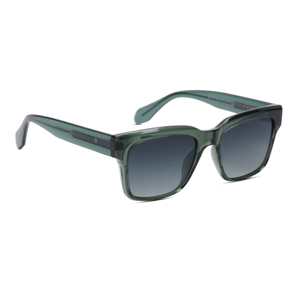 WE SUNGLASS WE16001