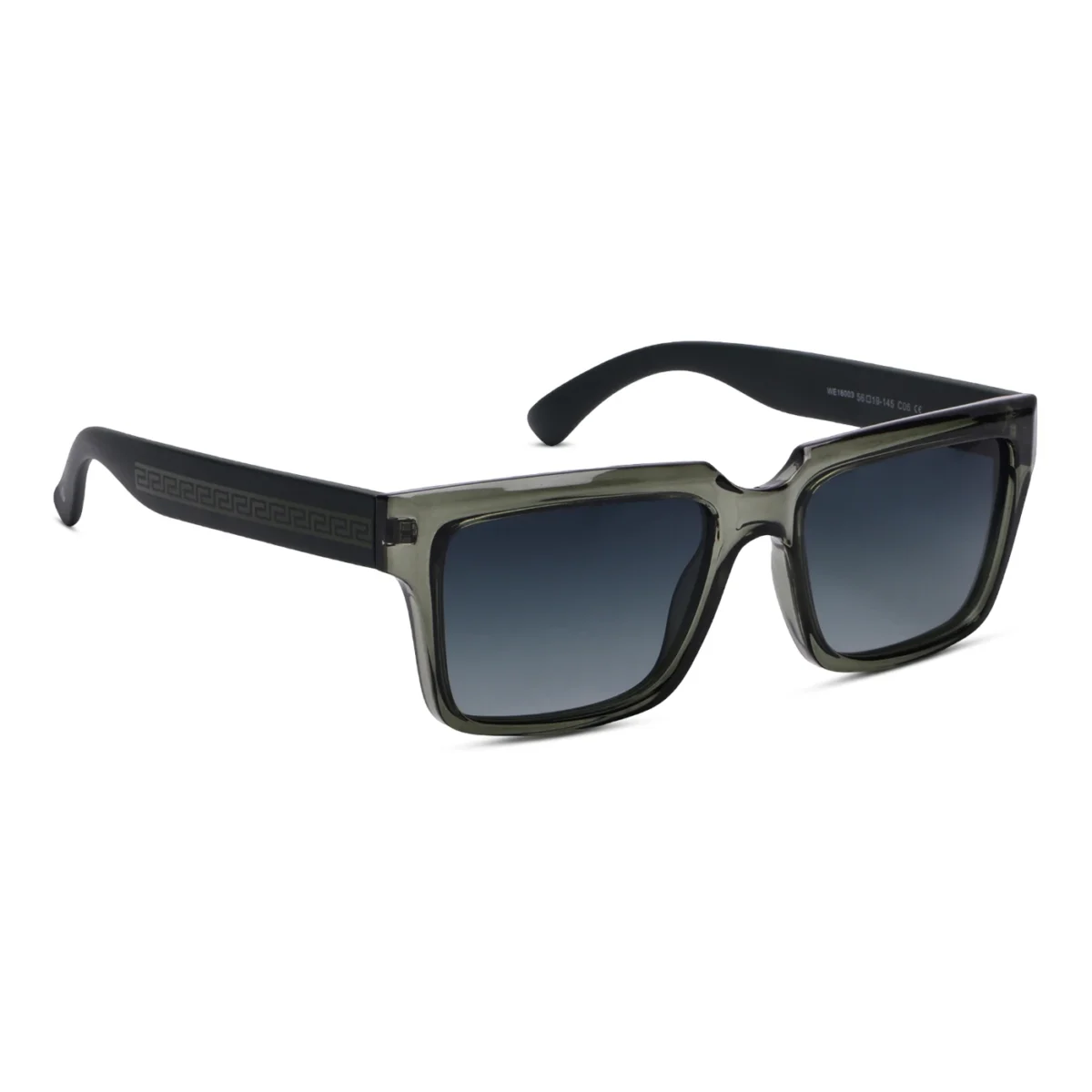 WE SUNGLASS WE16003