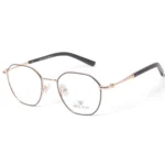 WE FRAMES OLD123M