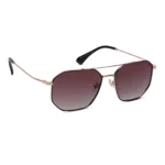 WE.SUNGLASS 2131