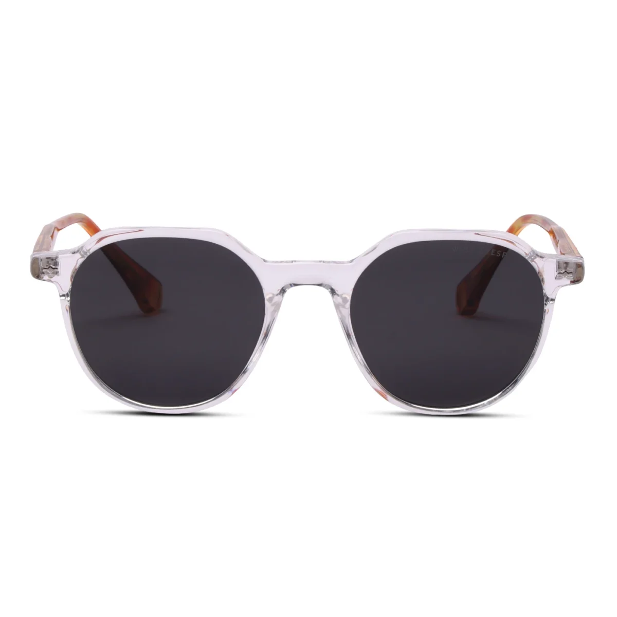 WE SUNGLASS 22009